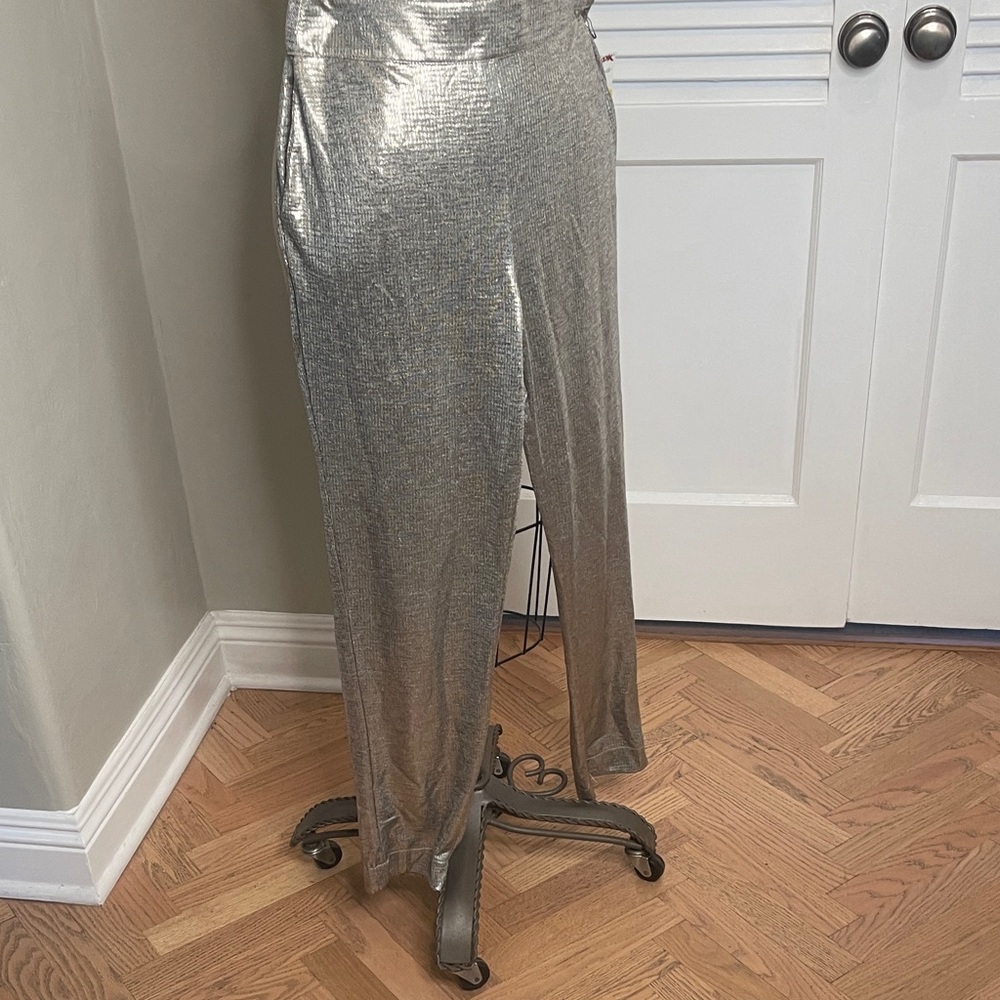 Shimmering Silver Pants